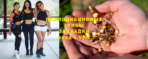 хмурый Балабаново