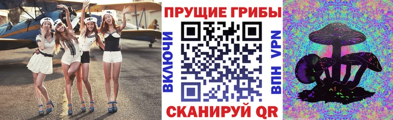 mega маркетплейс Нязепетровск Псилоцибиновые грибы Cubensis